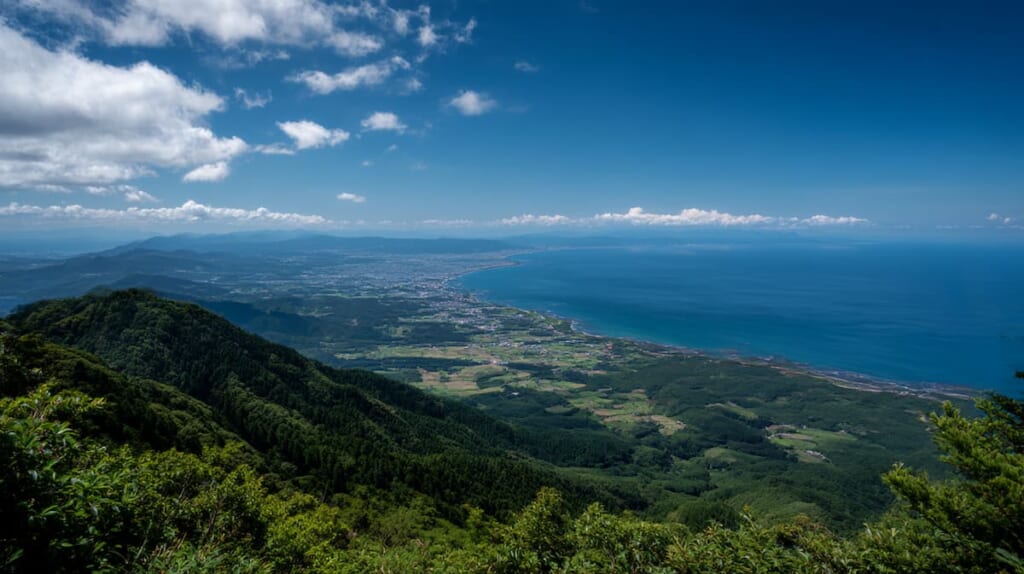 熊の生息が確認されていない房総半島の穏やかな低山風景
